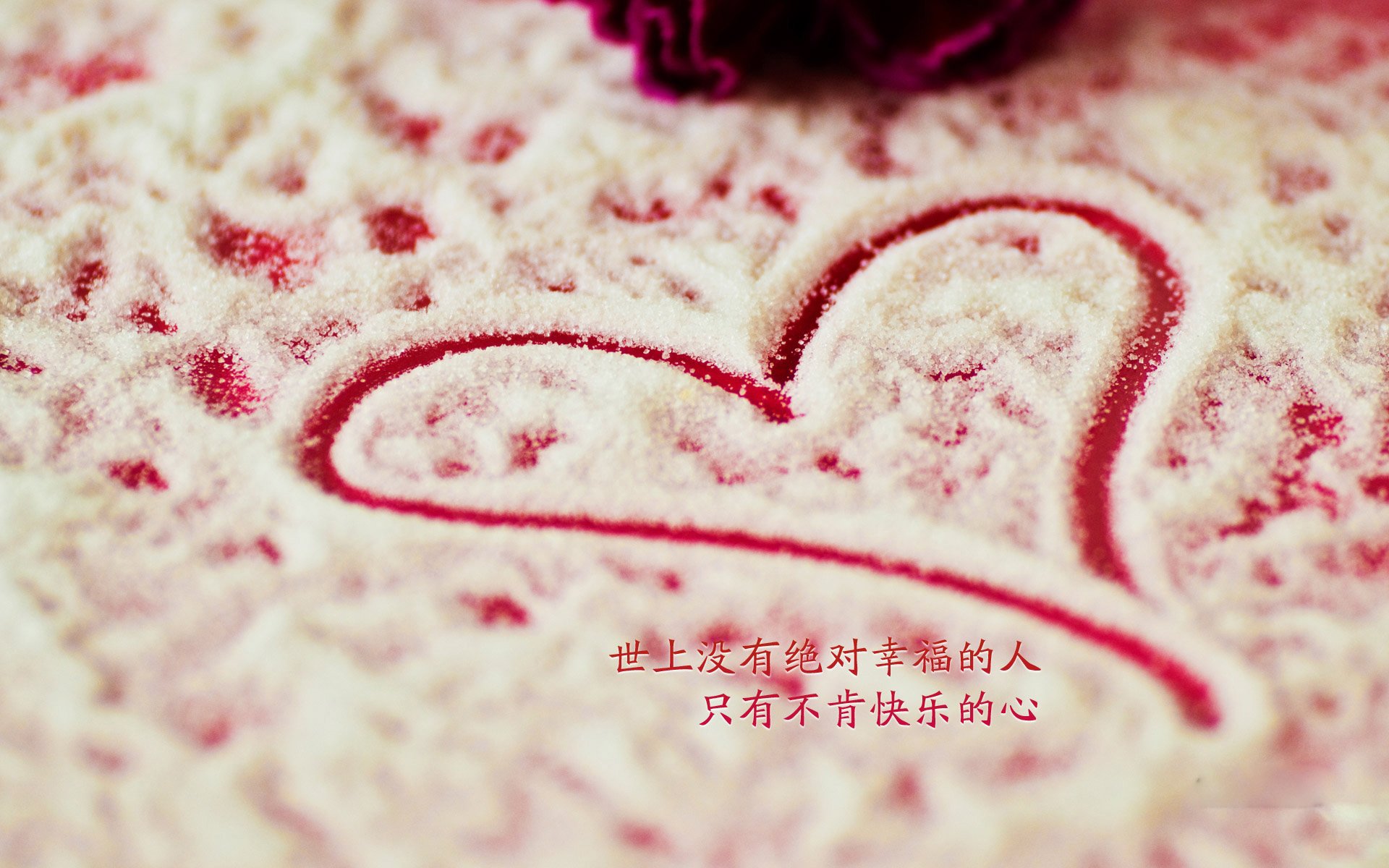 球星成长：从菜鸟到MVP的成长轨迹，球星经历