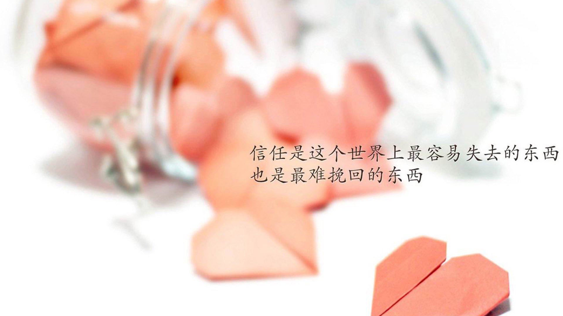 年轻球员崭露头角，为球队增添活力，年轻球员崭露头角,为球队增添活力