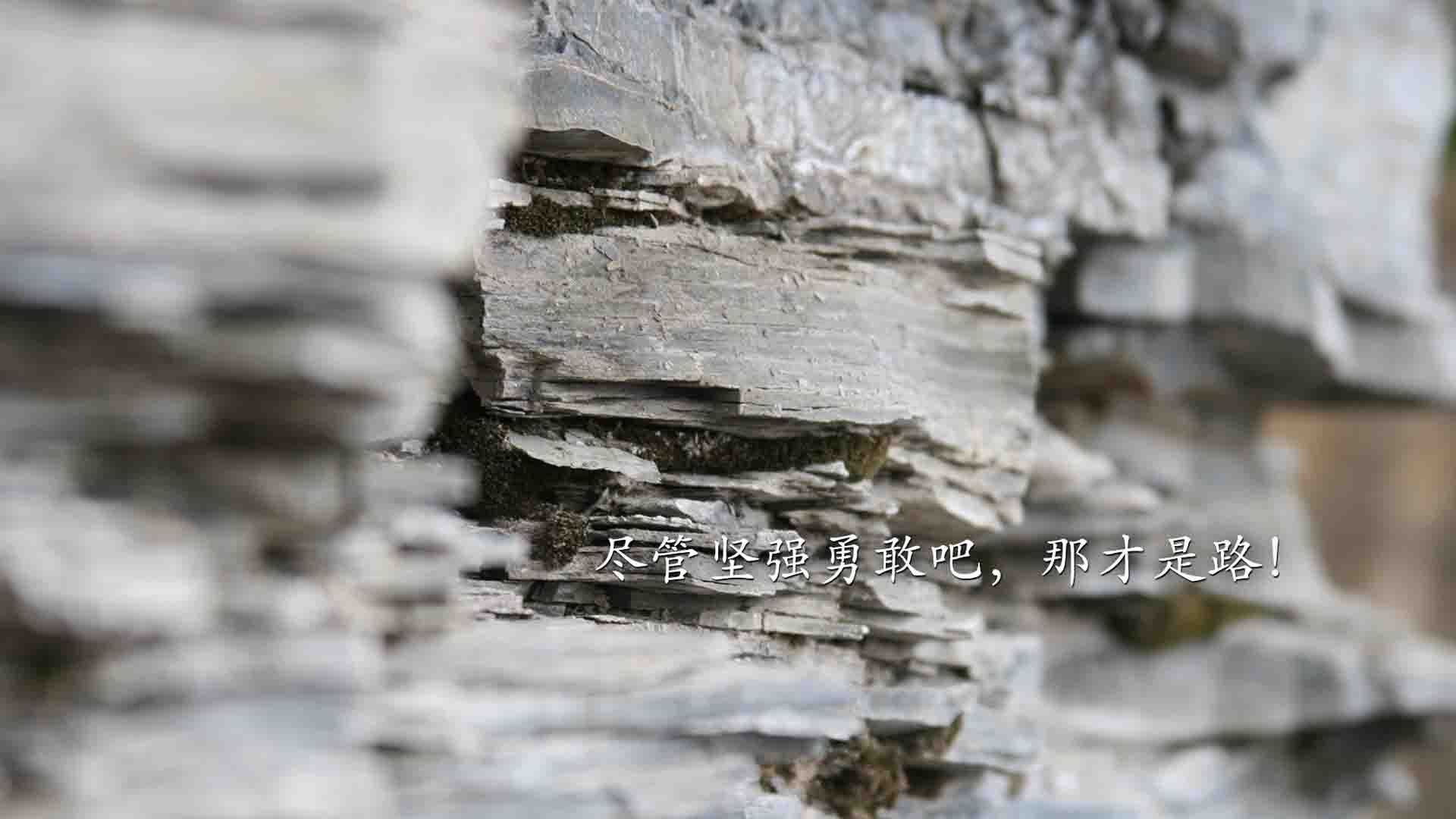 世界足球十大精彩瞬间盘点,回顾辉煌时刻,世界足坛最精彩的比赛